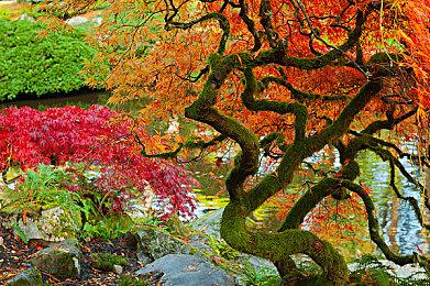 传《使命召唤：黑色行动7》相关剧情内容与模式泄露